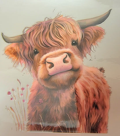 HIGHLAND COW