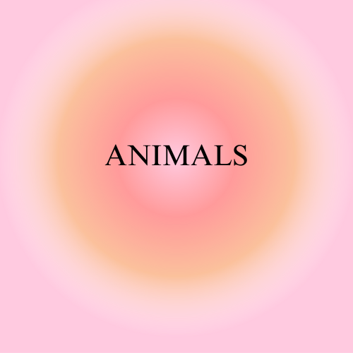 ANIMALS